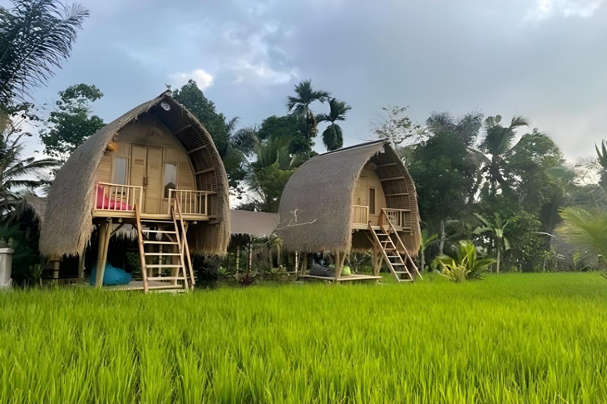 Lumbung Langit Bali House & Hostel Tampaksiring Luaran gambar