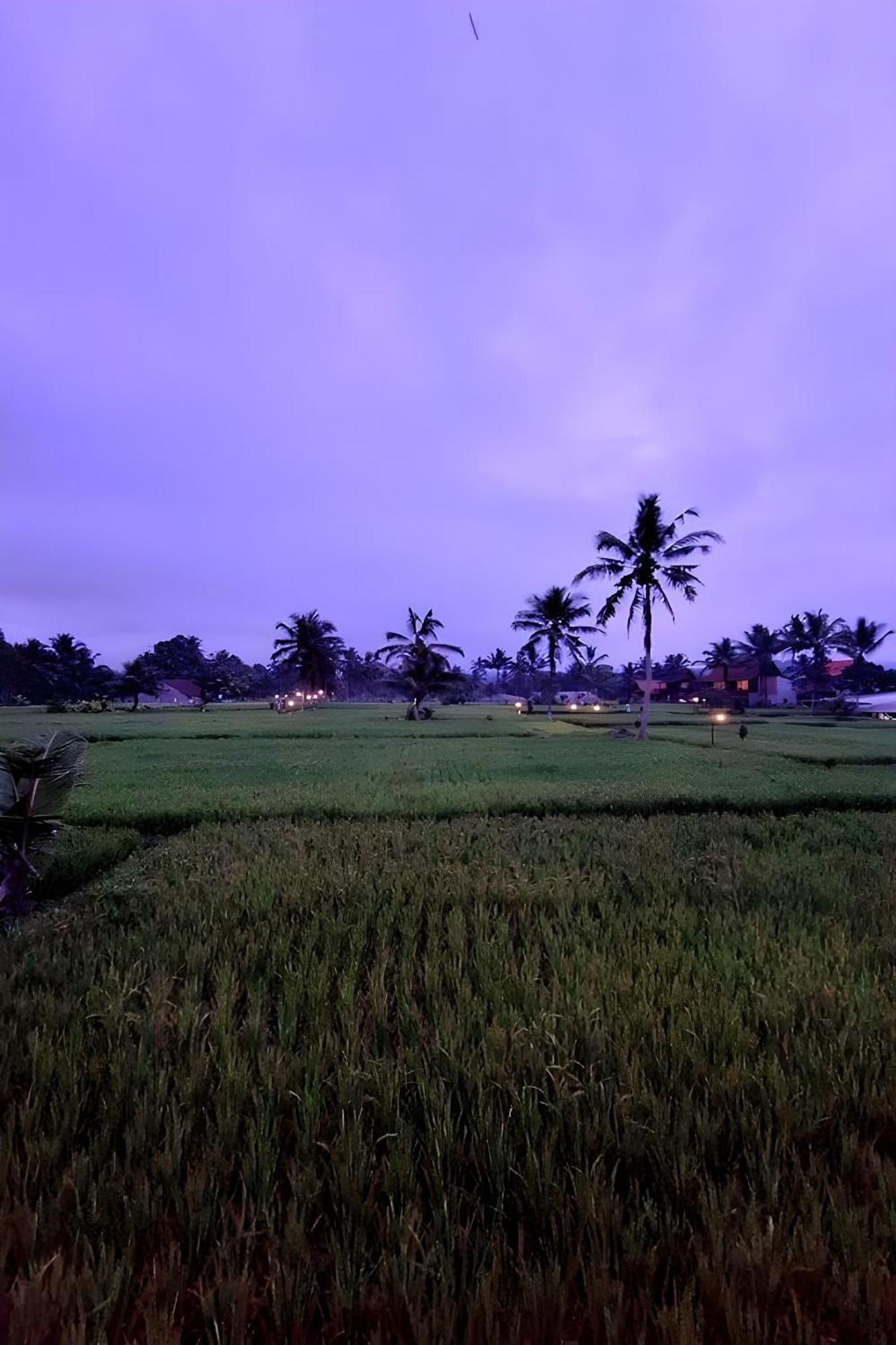 Lumbung Langit Bali House & Hostel Tampaksiring Luaran gambar