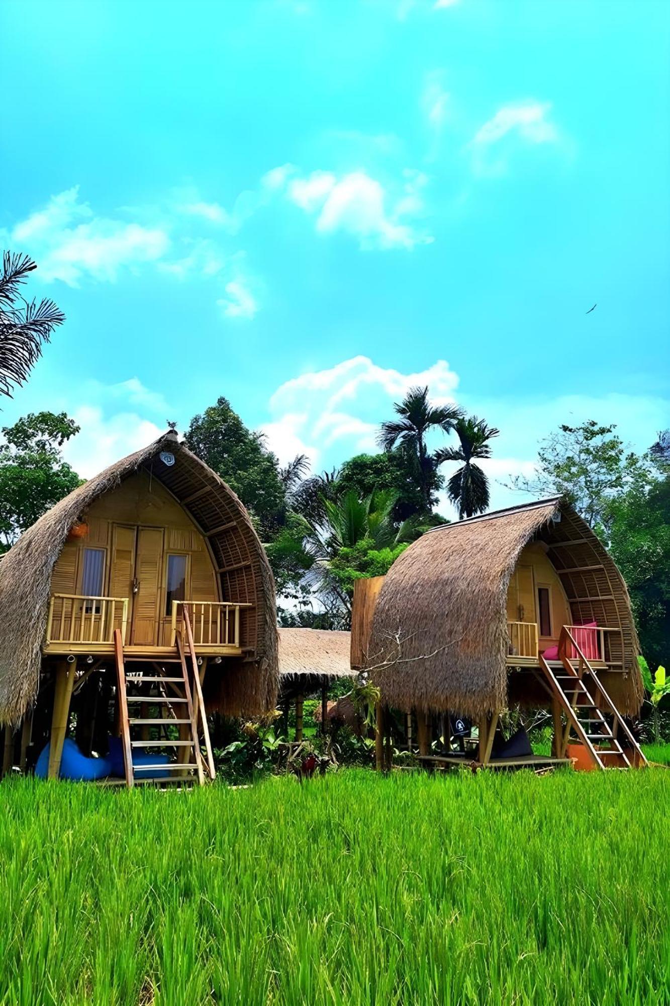 Lumbung Langit Bali House & Hostel Tampaksiring Luaran gambar