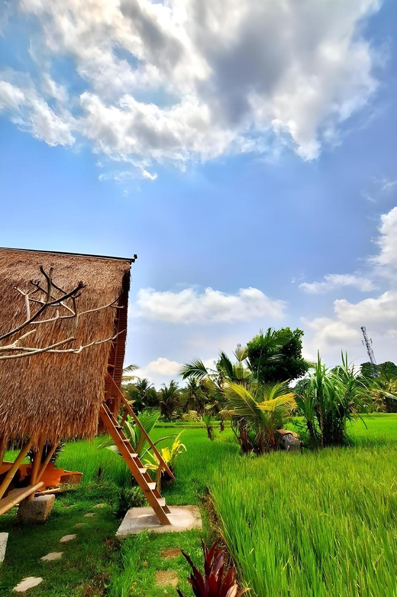 Lumbung Langit Bali House & Hostel Tampaksiring Luaran gambar