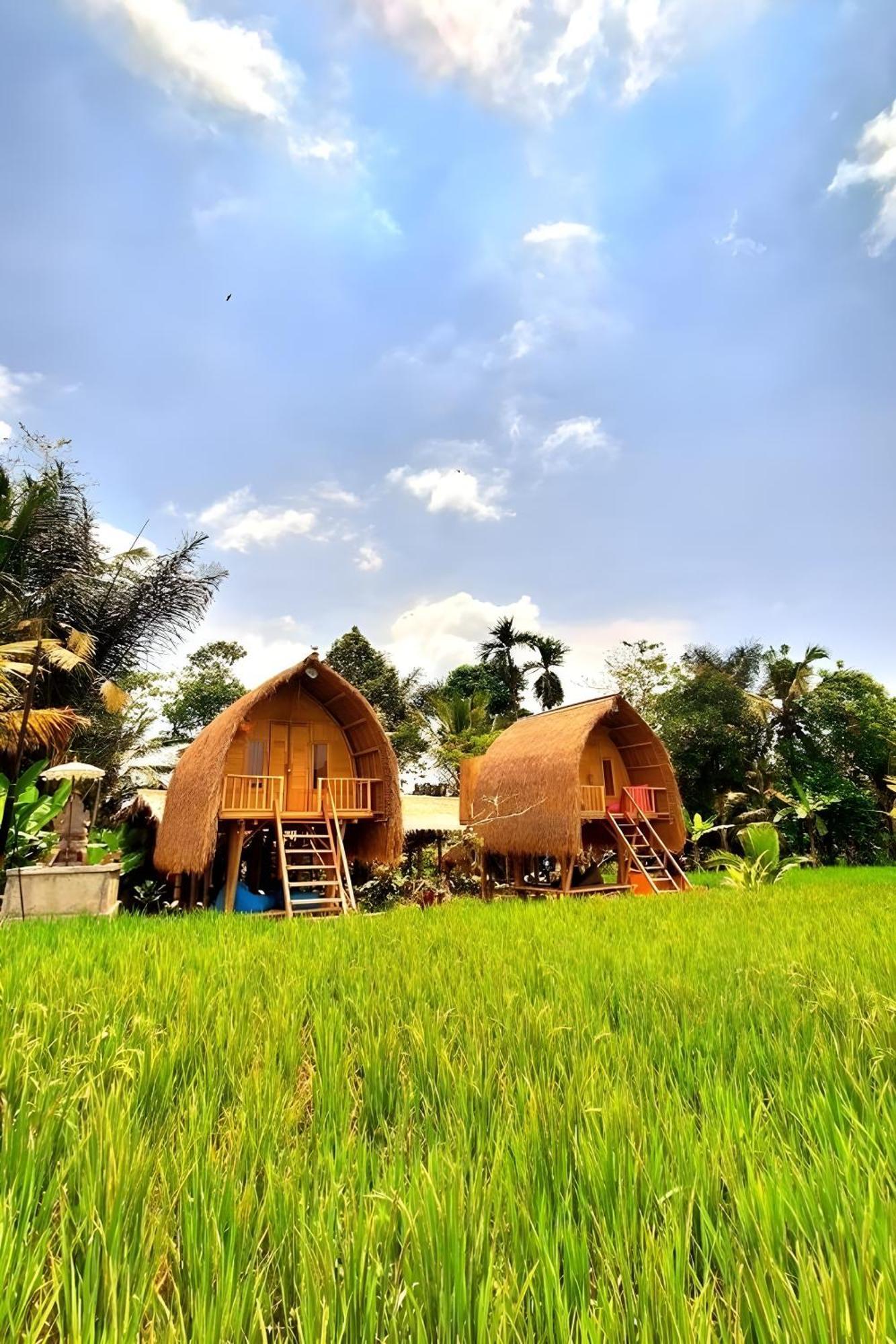 Lumbung Langit Bali House & Hostel Tampaksiring Luaran gambar