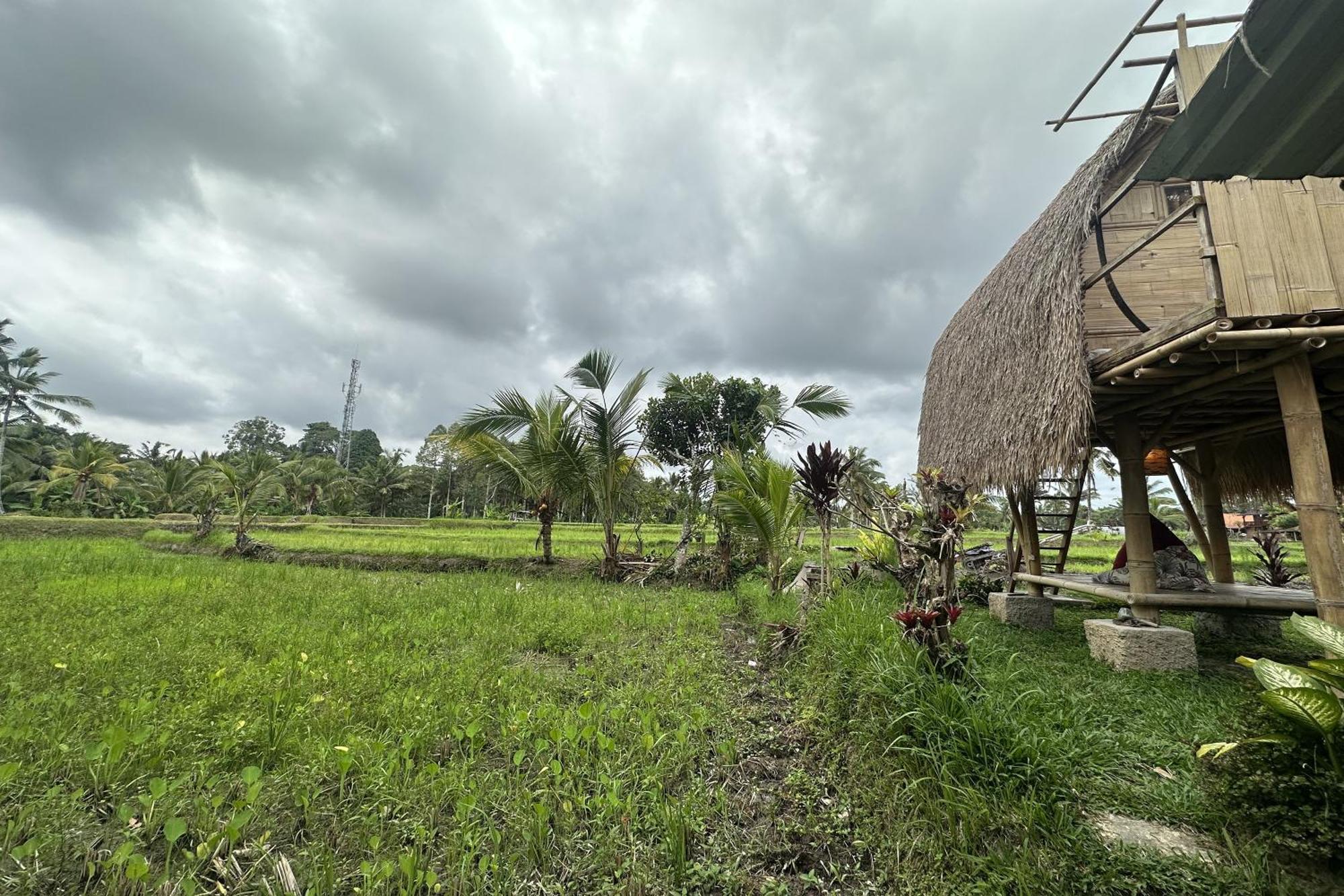 Lumbung Langit Bali House & Hostel Tampaksiring Luaran gambar