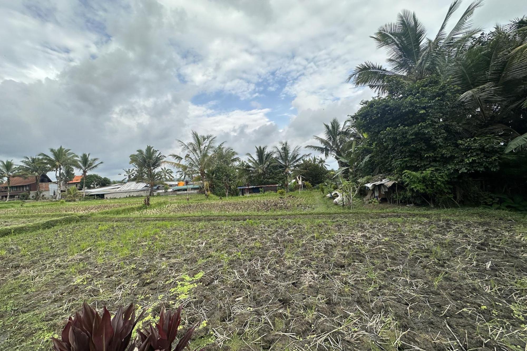 Lumbung Langit Bali House & Hostel Tampaksiring Luaran gambar